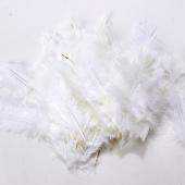 All Purpose Feather - 48 Feathers - White